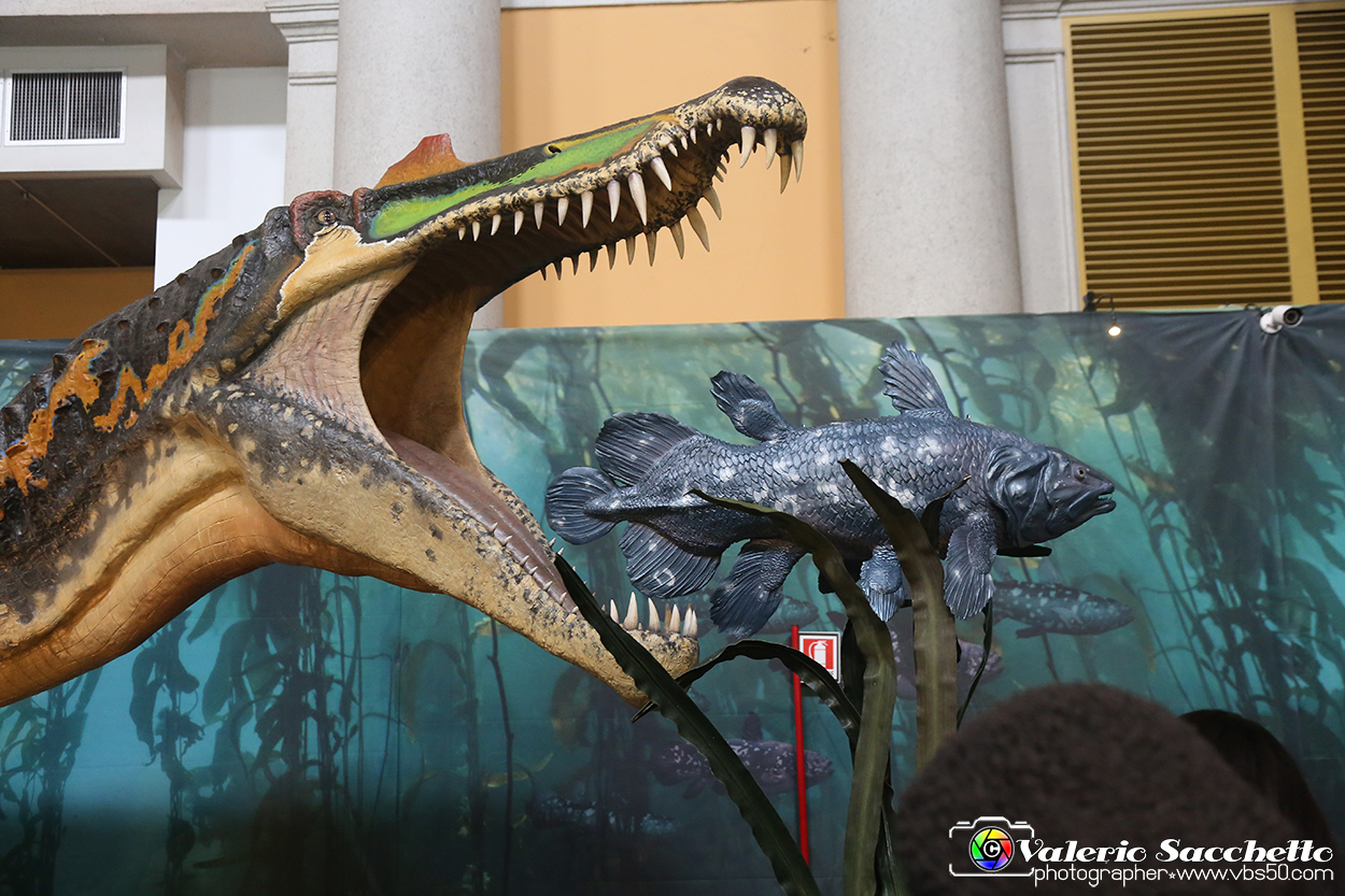 VBS_1037 - Dinosauri. Terra dei giganti.jpg